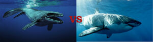 Megalodon vs Mosasaurus: Who would win?