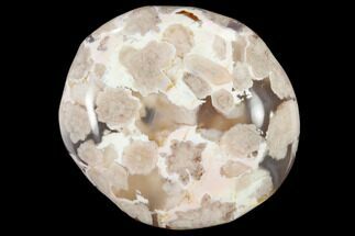 Polished Flower Agate Stones - 1 1/2"+