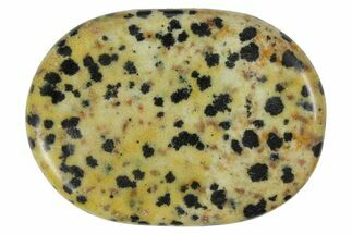 Polished Dalmatian Jasper Worry Stones - 1.5" Size
