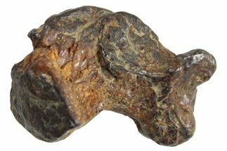 Sericho Pallasite Meteorite Metal Skeletons - Kenya