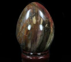Colorful Petrified Wood Egg #33739