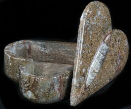 Heart-Shaped Fossil Orthoceras Box - Stoneware #35283