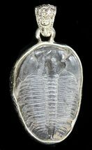 Sterling Silver Elrathia Trilobite Pendant #37960
