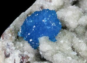 Bright Blue Cavansite Crystals on Micro Stilbite - India #44809
