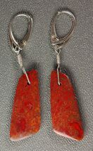 Orange/Red Agatized Dinosaur Bone (Gembone) Earrings #54076