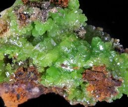 Apple Green Pyromorphite Crystal Cluster - China #63694
