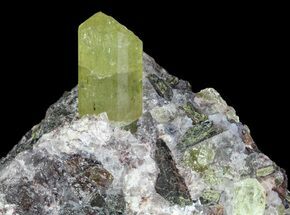 Apatite Crystals with Magnetite & Epidote - Durango, Mexico #64023