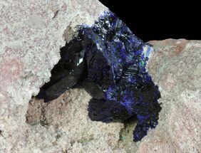 Large, Vibrant Azurite Crystal Cluster - Morocco #74688