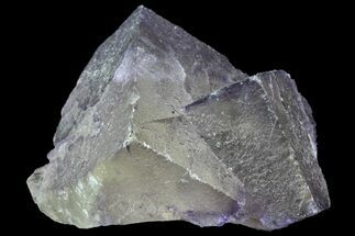 Purple, Cubic Fluorite Crystal Cluster - Elmwood #70059