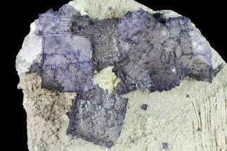 Cubic Fluorite Crystals on Matrix - Elmwood Mine #89955
