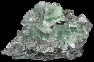 Fluorescent, Green, Cubic Fluorite Crystals (New Find) - China #93657