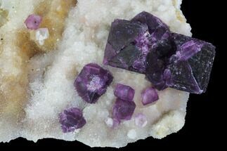Dark Purple Cubic Fluorite on Druzy Quartz - China #94316