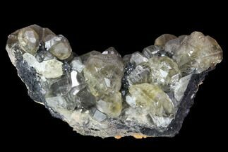 Cerussite Crystal Cluster on Galena - Morocco #98743