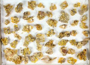 Flat: to Wulfenite Clusters - Pieces #105343