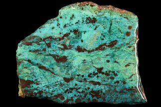 Coated Chrysocolla & Malachite Slab - Bagdad Mine, Arizona #114259