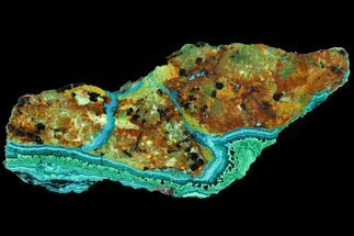Polished Chrysocolla & Malachite Section - Bagdad Mine, Arizona #118805