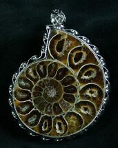 Large Fossil Ammonite Pendant - Tall #8282