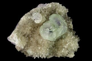 Green Fluorite with Purple Core on Smoky Quartz Crystals - China #146893