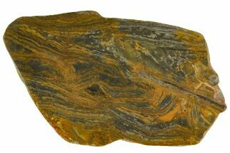 Polished, Mesoproterozoic Stromatolite (Conophyton) - Australia #150369