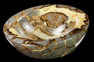 Polished Septarian Bowl With Ammonite Fossil - Utah #169532