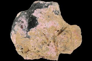 Polished Cobaltoan Calcite Slab - Congo #184023