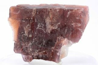 Rare, Red Villiaumite Crystal Section - Murmansk Oblast, Russia #195319