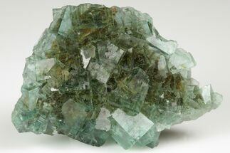 Green Cubic Fluorite Cluster With Phantoms - Okorusu Mine #191979