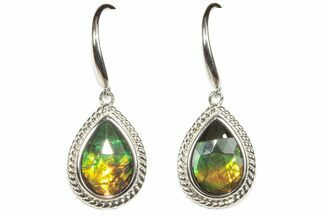 Stunning Ammolite Earrings In Sterling Silver #202352