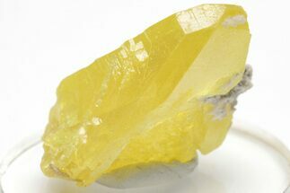 Striking Sulfur Crystal - Italy #207666