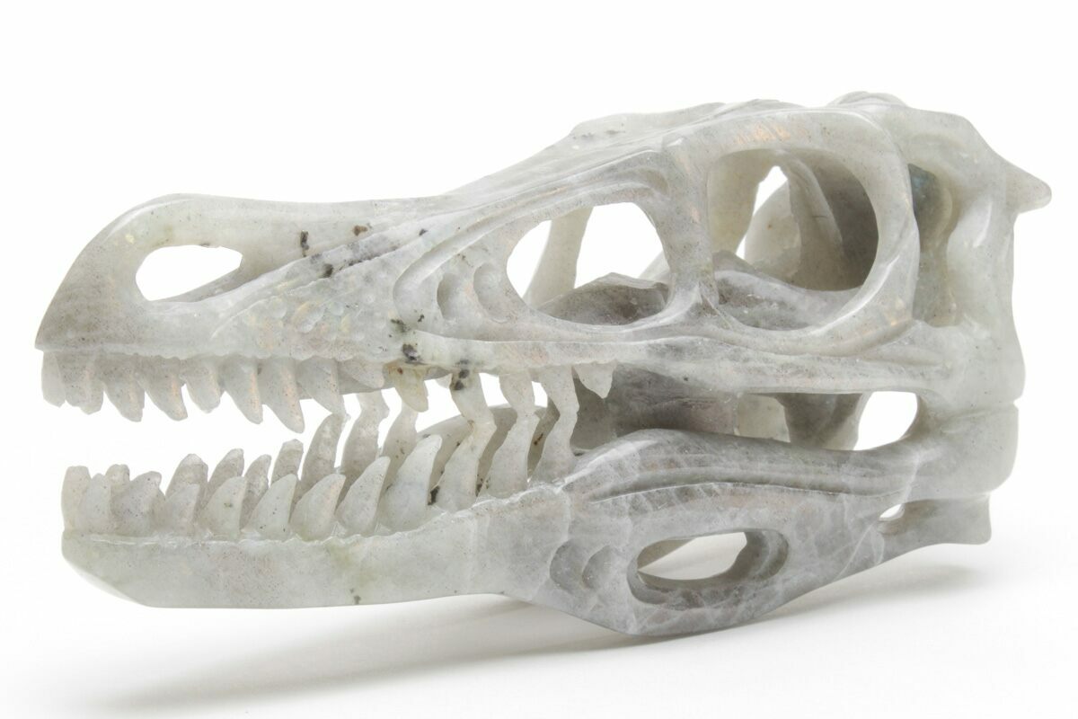 Carved Labradorite Dinosaur Skull For Sale Fossilera