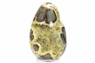 Calcite Crystal Filled Septarian Geode Egg - Utah #231071