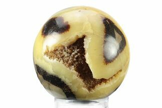 Polished Septarian Sphere - Madagascar #239000