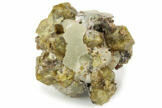 Yellow Andradite-Grossular Garnet Cluster with Prehnite - Mali #242494