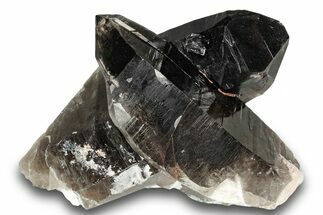 Natural, Dark Smoky Quartz Crystal Cluster - Colorado #244510