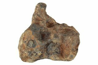 Agoudal Meteorites For Sale