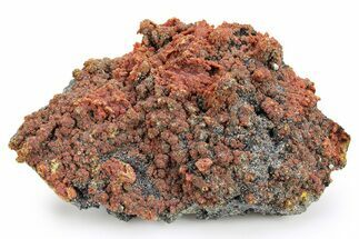 Deep Red Orpiment Over Pyrite - Peru #260129
