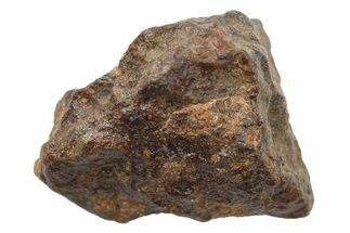 Windowed Chondrite Meteorite ( g) - Unclassified NWA #265859