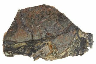 Aubrite Meteorite ( g) - Al Haggounia #266673