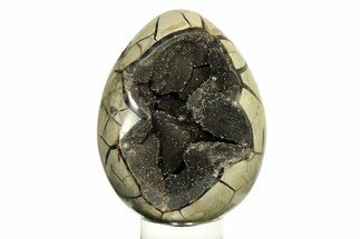 Septarian Dragon Egg Geode - Black Crystals #267332
