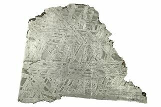 Thick Aletai Iron Meteorite Slice ( g) - Xinjiang, China #272279