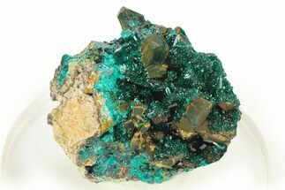 Gemmy Dioptase Crystal Cluster - Republic of the Congo #272953