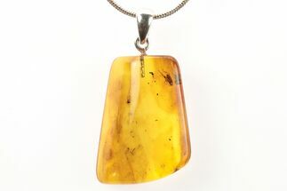 Polished Baltic Amber Pendant (Necklace) - Contains Leafhopper! #273456