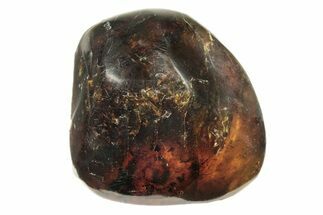 Polished Chiapas Amber ( g) - Mexico #274408