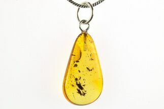 Polished Baltic Amber Pendant (Necklace) - Contains Fly! #275845