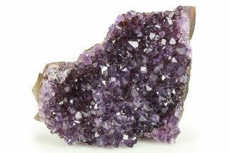 Sparkling Purple Amethyst Crystal Cluster - Uruguay #276308