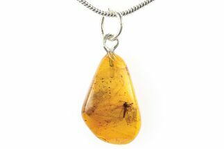 Polished Baltic Amber Pendant (Necklace) - Contains Fly! #275893