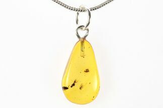 Polished Baltic Amber Pendant (Necklace) - Contains Fly! #275903