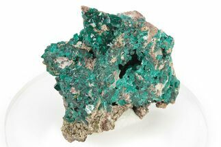 Gemmy Dioptase Crystal Cluster - Republic of the Congo #277838
