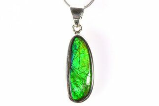 Stunning Ammolite Pendant (Necklace) - Sterling Silver #278394