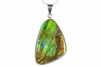 Stunning Ammolite Pendant (Necklace) - Sterling Silver #278411